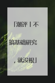 潮评丨不搞基础研究，就没根